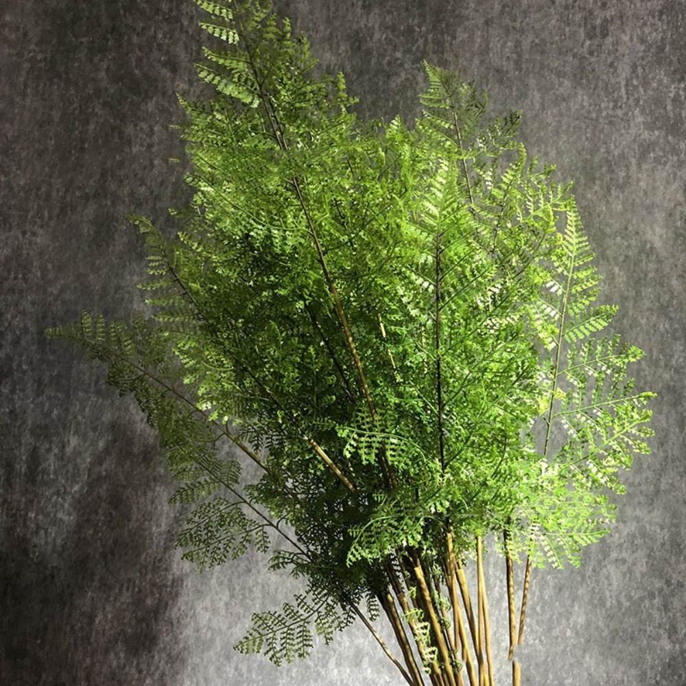 Dracaena Marginata - Realistic Artificial Fern Plant Branches Real