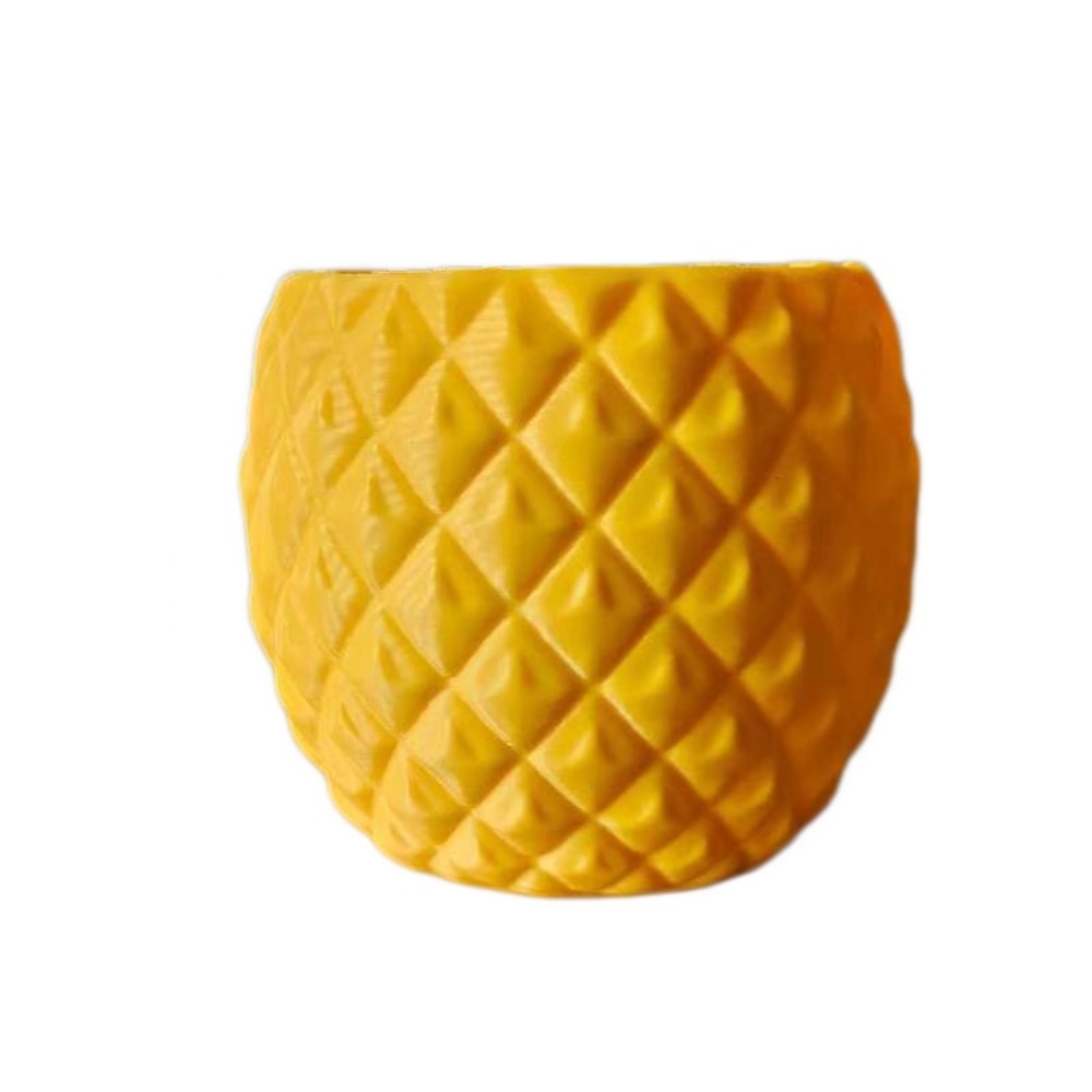 Echeveria Succulent - Plastic Fruit Flower Pot 3D Printed