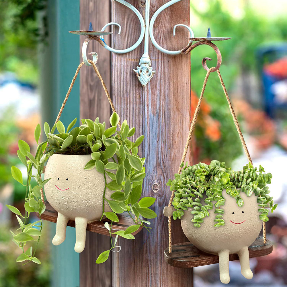 Plant Hanger Baskets Lovely Sw - đánh giá và giá Echeveria Succulent