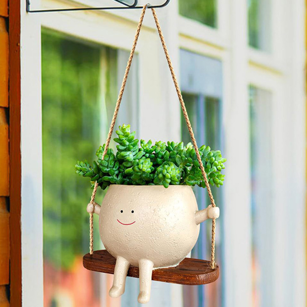 Plant Hanger Baskets Lovely Sw - đánh giá và giá Echeveria Succulent