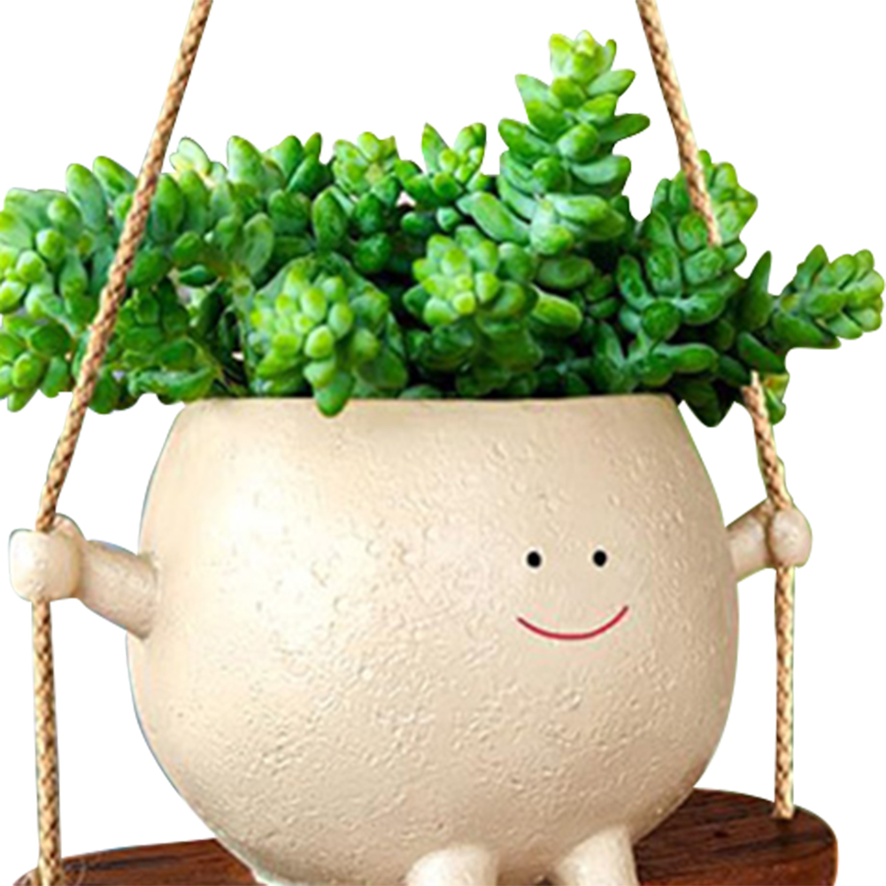 Plant Hanger Baskets Lovely Sw - đánh giá và giá Echeveria Succulent
