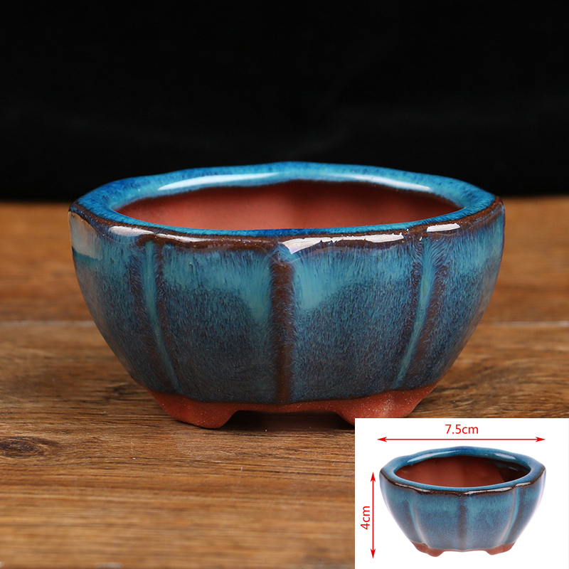 1pcs Bonsai Mini Ceramic Flowe - đánh giá và giá Echeveria Succulent