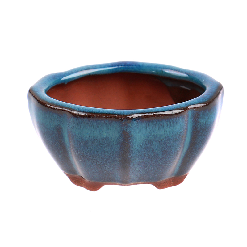1pcs Bonsai Mini Ceramic Flowe - đánh giá và giá Echeveria Succulent