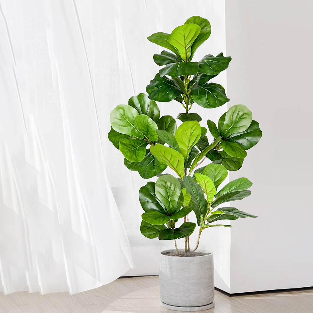 70-135cm Large Artificial Fidd - đánh giá và giá Dracaena Marginata