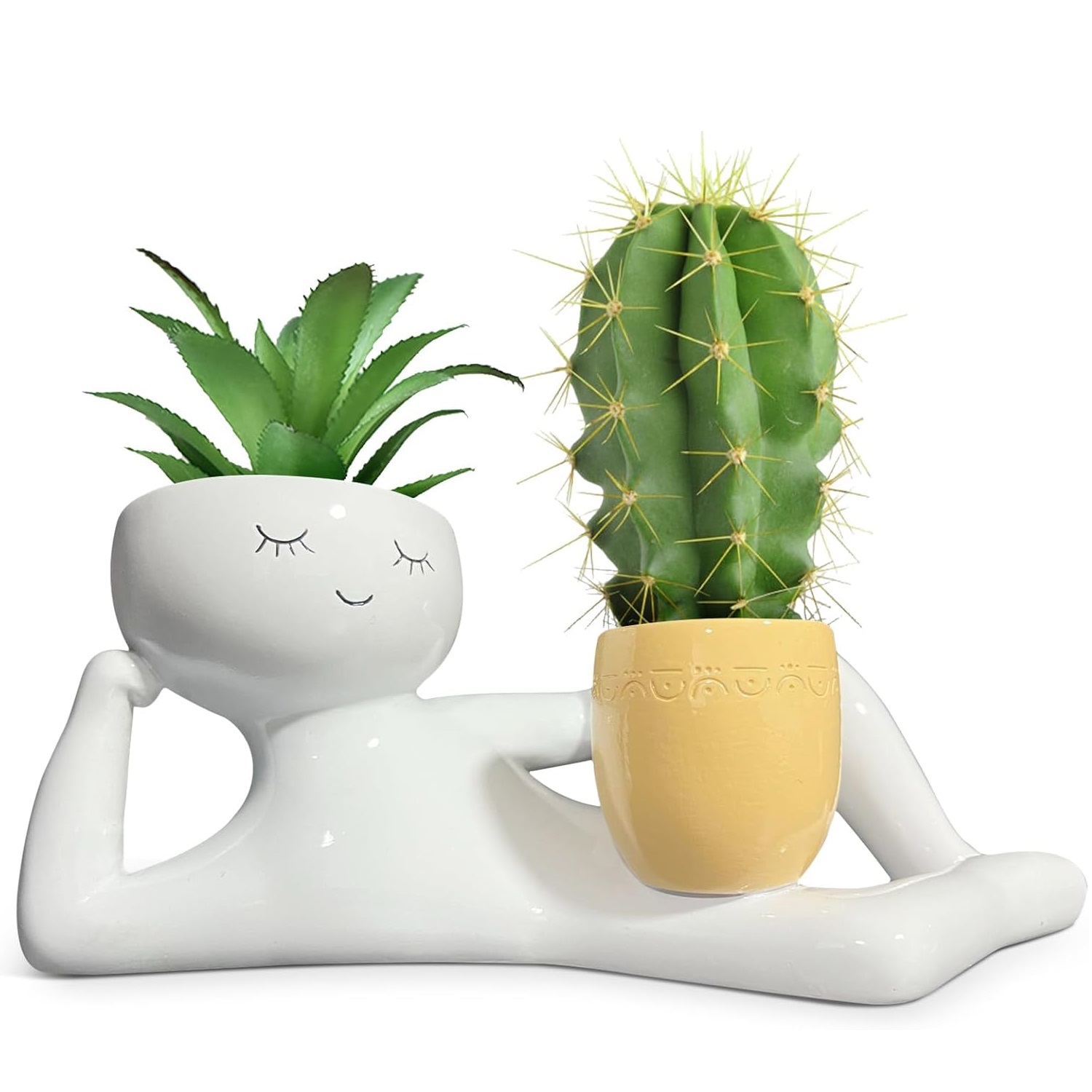 Lazy Little Guy Planter Unique - đánh giá và giá Echeveria Succulent