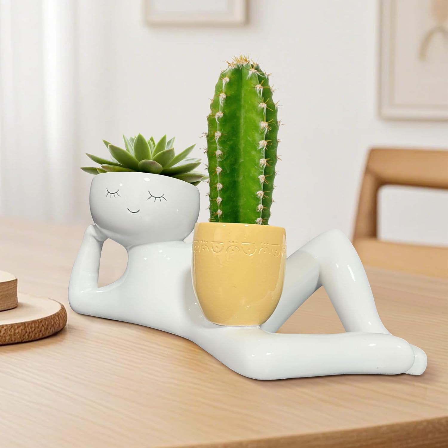 Lazy Little Guy Planter Unique - đánh giá và giá Echeveria Succulent