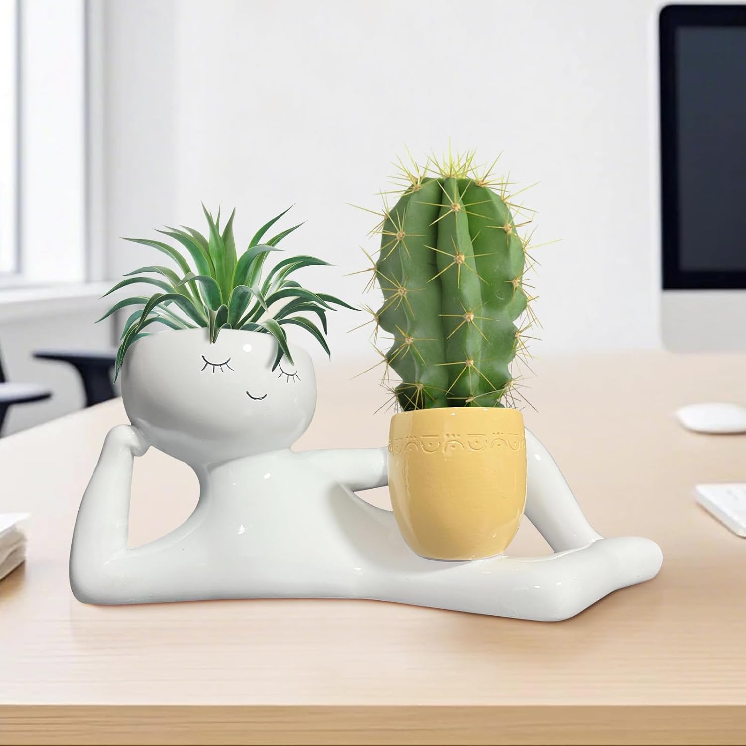 Lazy Little Guy Planter Unique - đánh giá và giá Echeveria Succulent