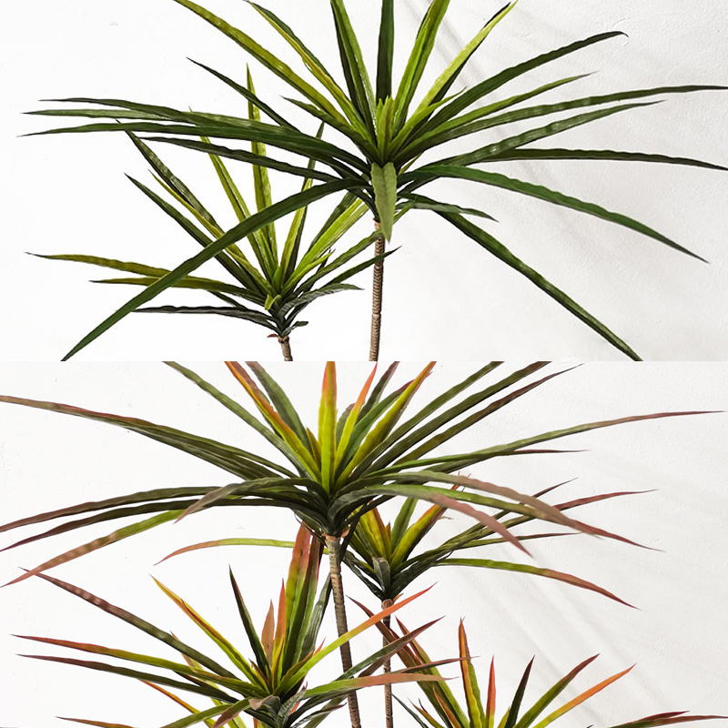 90-120Cm Nhân Tạo Lớn Thiến Th - đánh giá và giá Dracaena Marginata