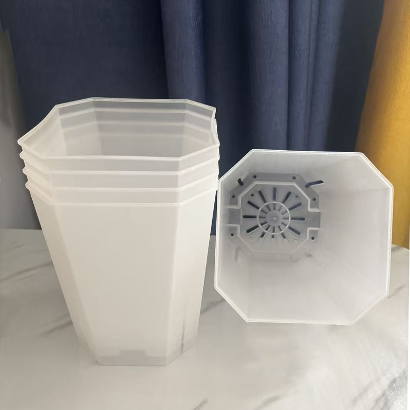 5PCS Transparent Flowerpot 15c - đánh giá và giá Echeveria Succulent