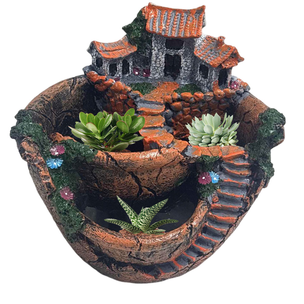 Succulent Pot Vintage Multi Po - đánh giá và giá Echeveria Succulent