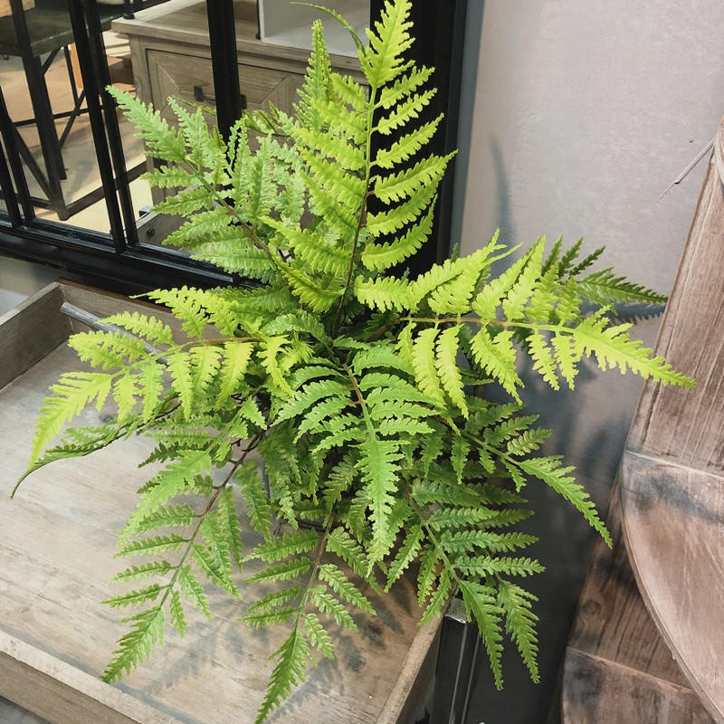 1pcs Artificial Plants Bedroom - đánh giá và giá Dracaena Marginata
