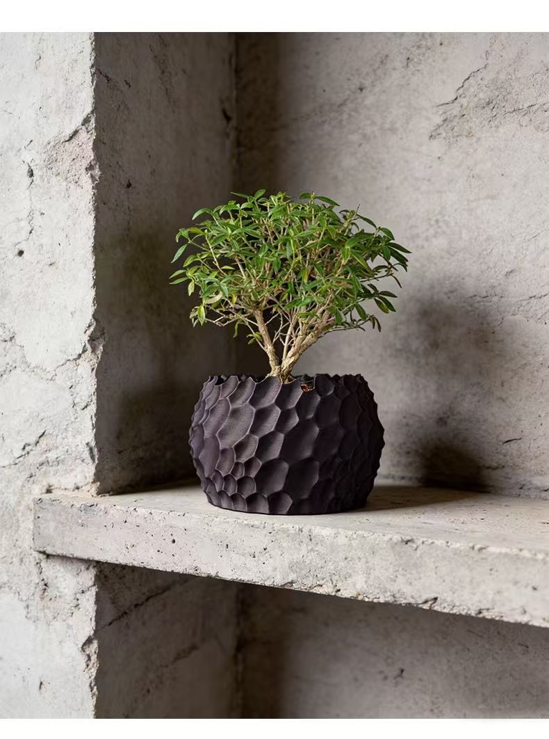 Textured Flower Pot Irregular  - đánh giá và giá Echeveria Succulent