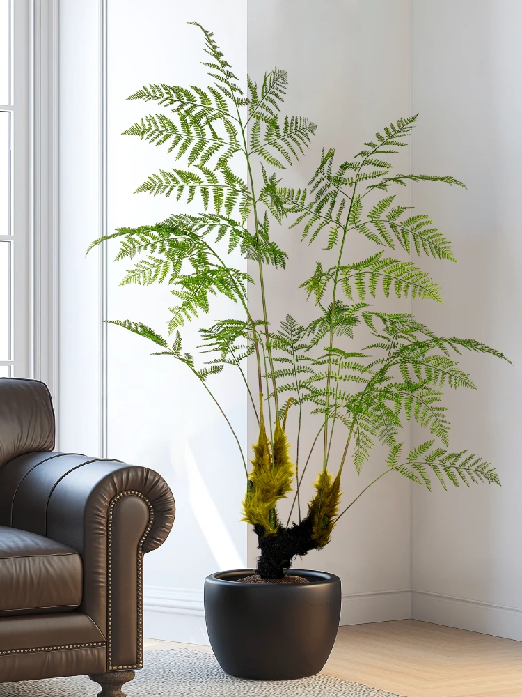 Large Simulated Golden Monkey  - đánh giá và giá Dracaena Marginata